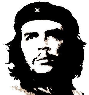 Che Guevara - Symbol of Struggle