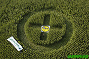 1gecropcircle.jpg