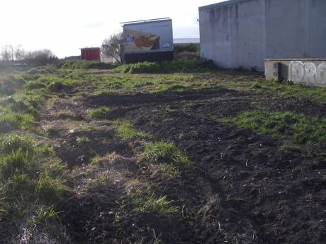 an empty dolphins barn community garden