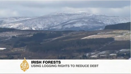 aljazeera_video_selloff_of_irelands_forests_pic2.jpg