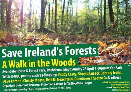 save_irelands_forests_a_walk_in_the_woods_apr28_cover_page.jpg