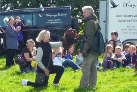 Newgrange Falconry Display