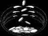 bscoin.gif bscoin.gif