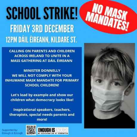 school_strike_fri_3rd_dec_at_dail_eireann_dublin.jpg