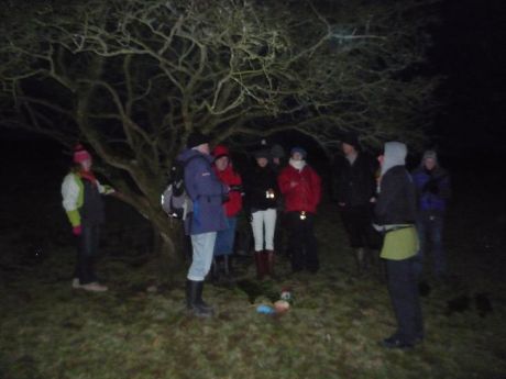 Gathering at the Faery Tree