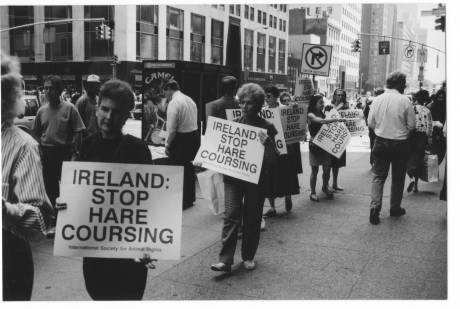 This protest was outside the Aer Lingus office in New York