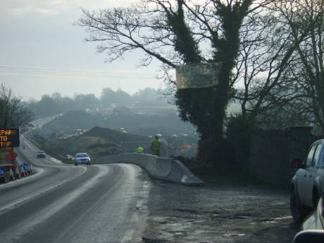 Last remaining tree on Soldier Hill