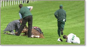 UNNECESSARY HORSE SUFFERING