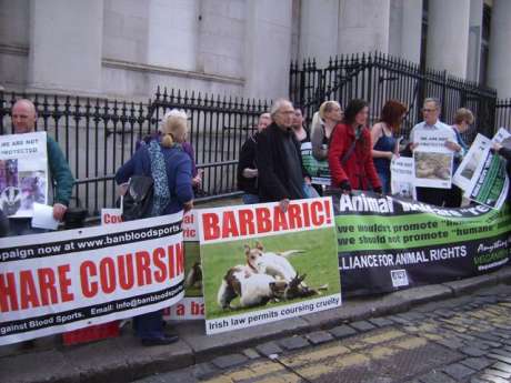 protest against Irish hare coursing...