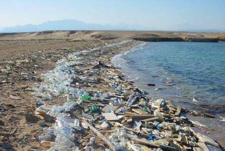 Plastic along our coast...