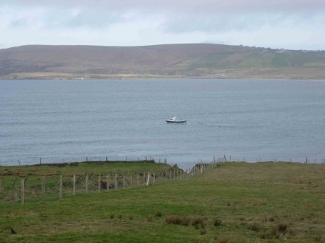 Boat in Broadhaven Bay