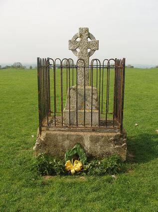 A 1798 Memorial still standing at Tara