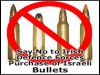 isrbullets2.jpg