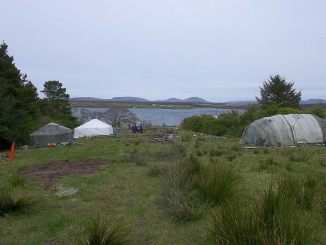 View from the top half of the new summer camp field