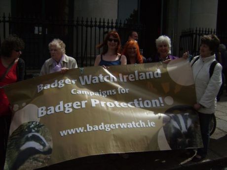 BadgerWatch Ireland banner with Clare Daly, Maureen O' Sullivan, Bernie Wright and Bernadette Barrett (Badgerwatch)