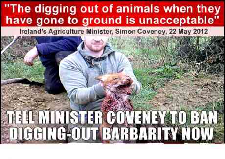 The "dig-out"...permitted by the the so-called "animal welfare" act