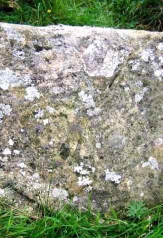 Click on image to see full-sized version Stone with Neolithic Art, Banagher